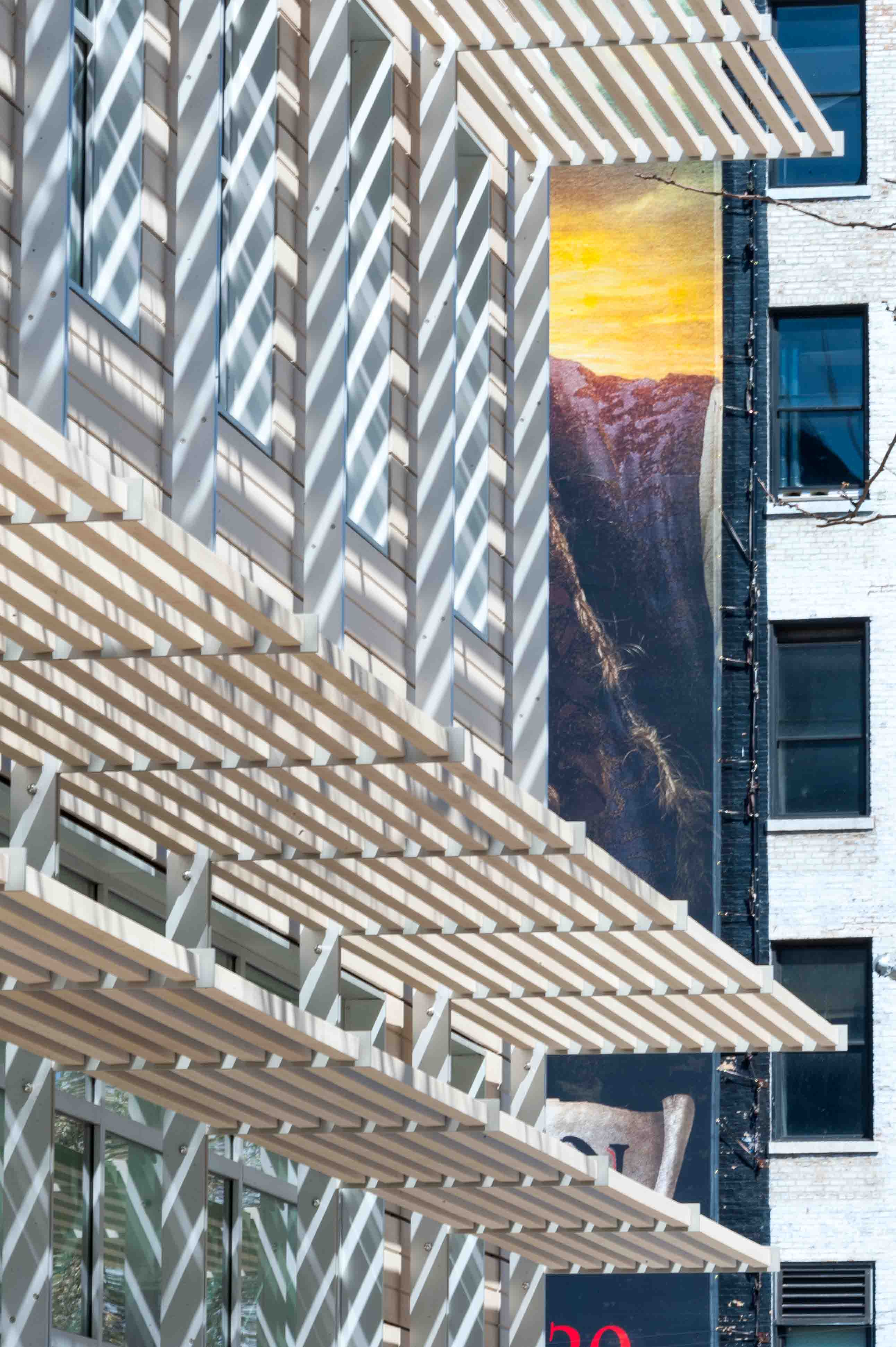 the anti-cruelty society fa04ade renovation